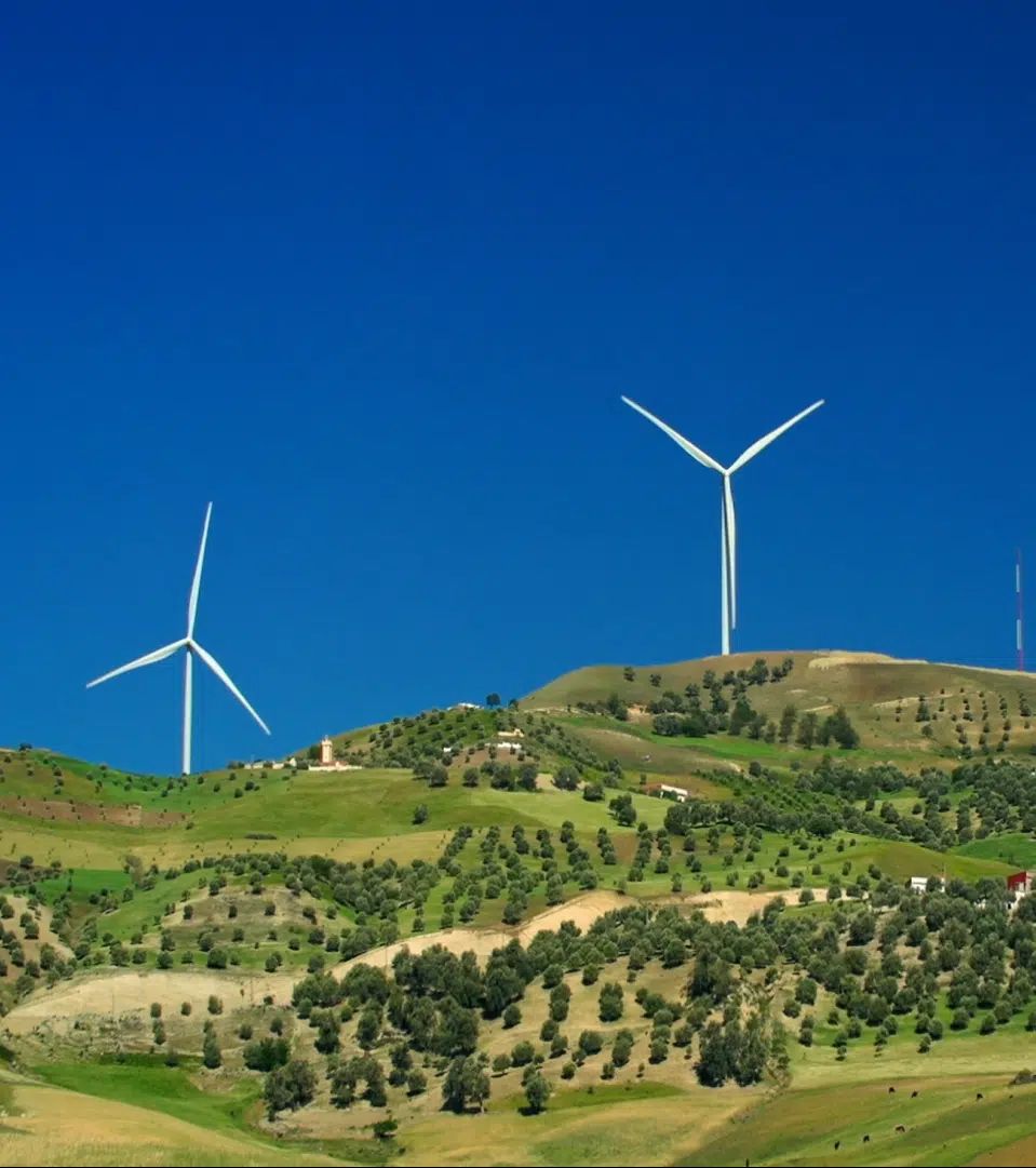 TAZA_-EDF-Renewables-builds-and-operates-its-first-wind-farm-in-Morocco.png