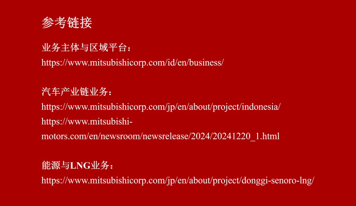 三菱商事产业地图-印度尼西亚(图片4)
