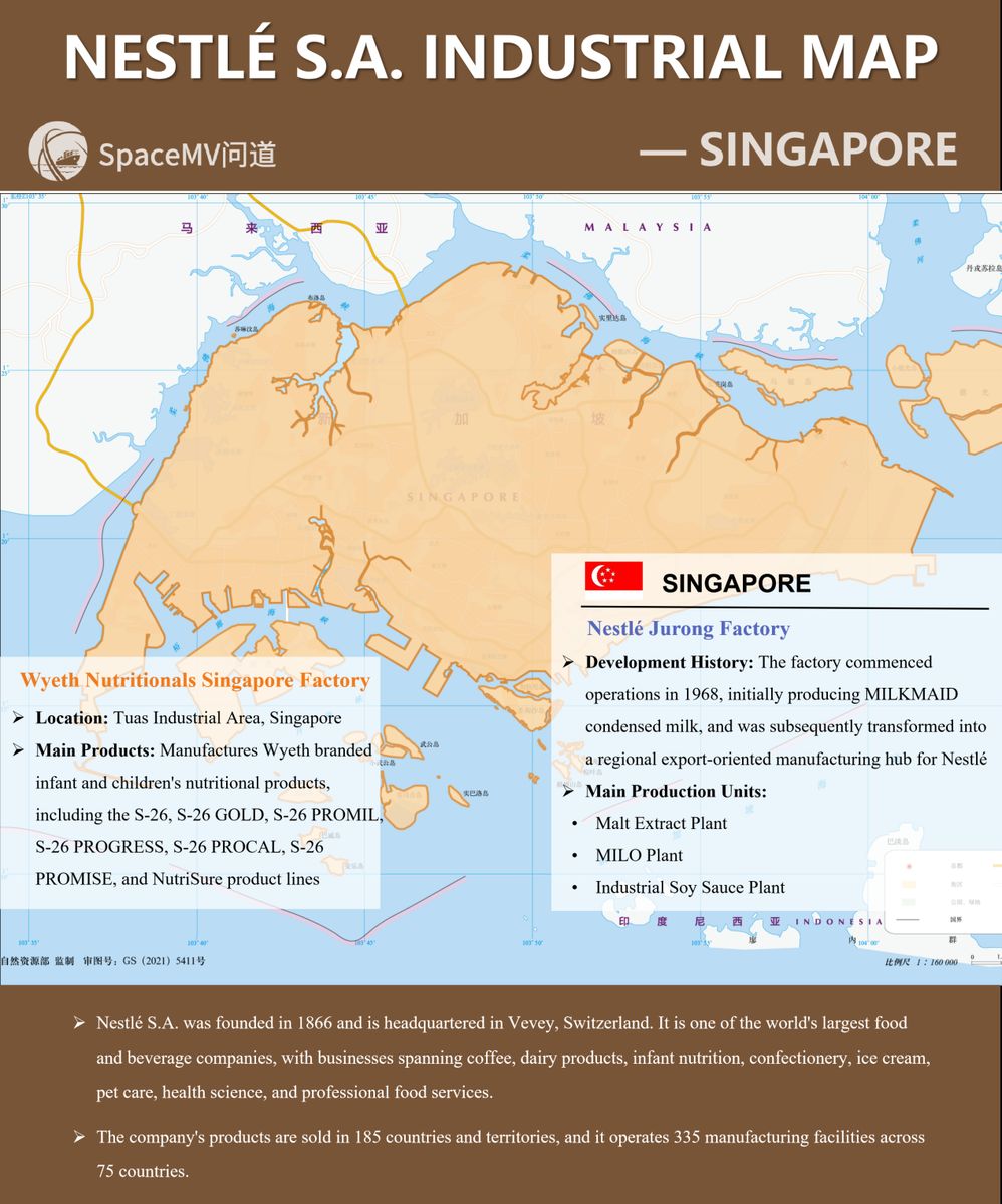 雀巢公司产业地图-新加坡（英文）