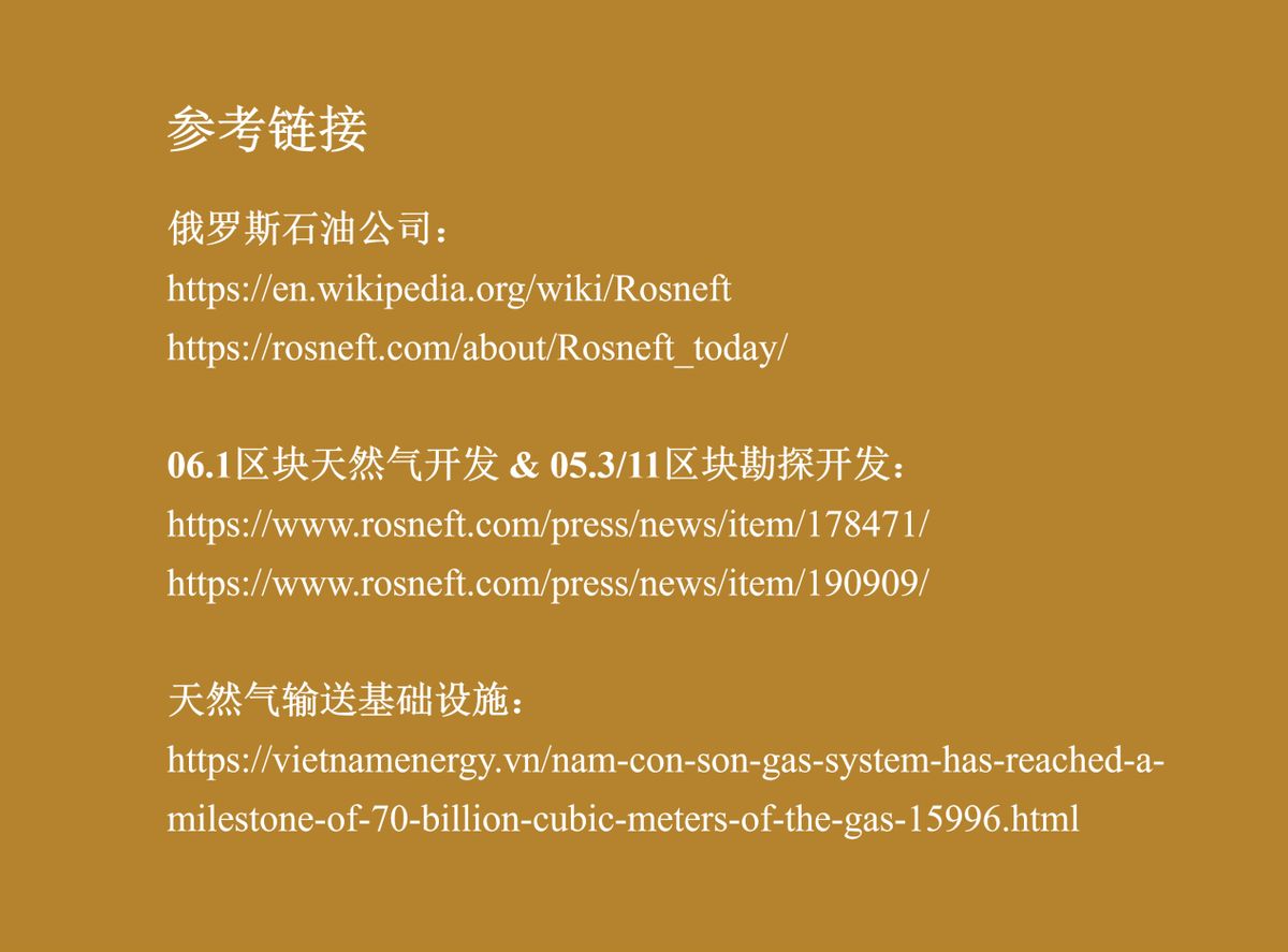 俄罗斯石油产业地图-越南（图片2）